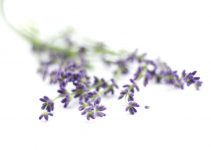 Benefits of Lavender Water + How to Use It